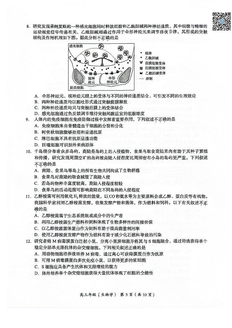 2024北京海淀高三二模生物试题及答案03