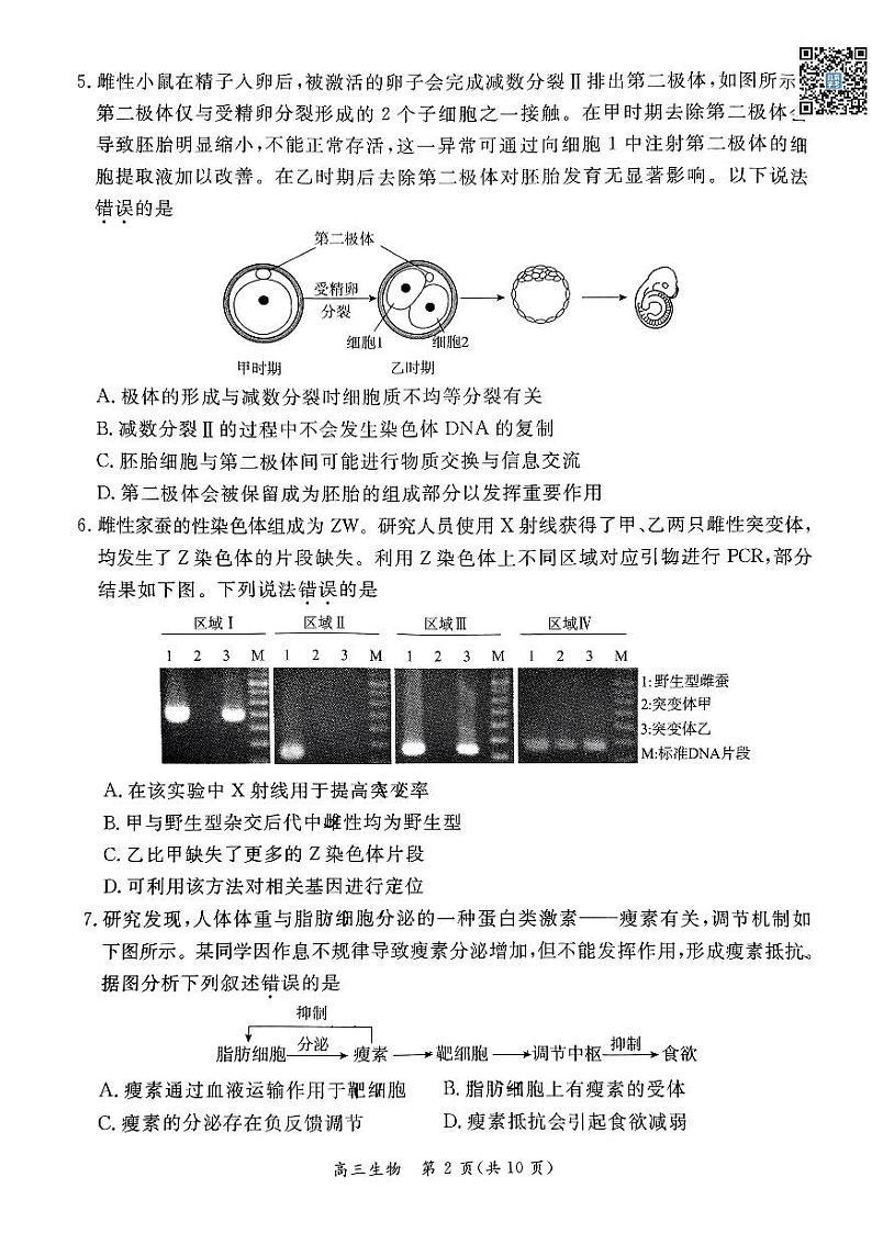 2024北京东城高三二模生物试题及答案第2页