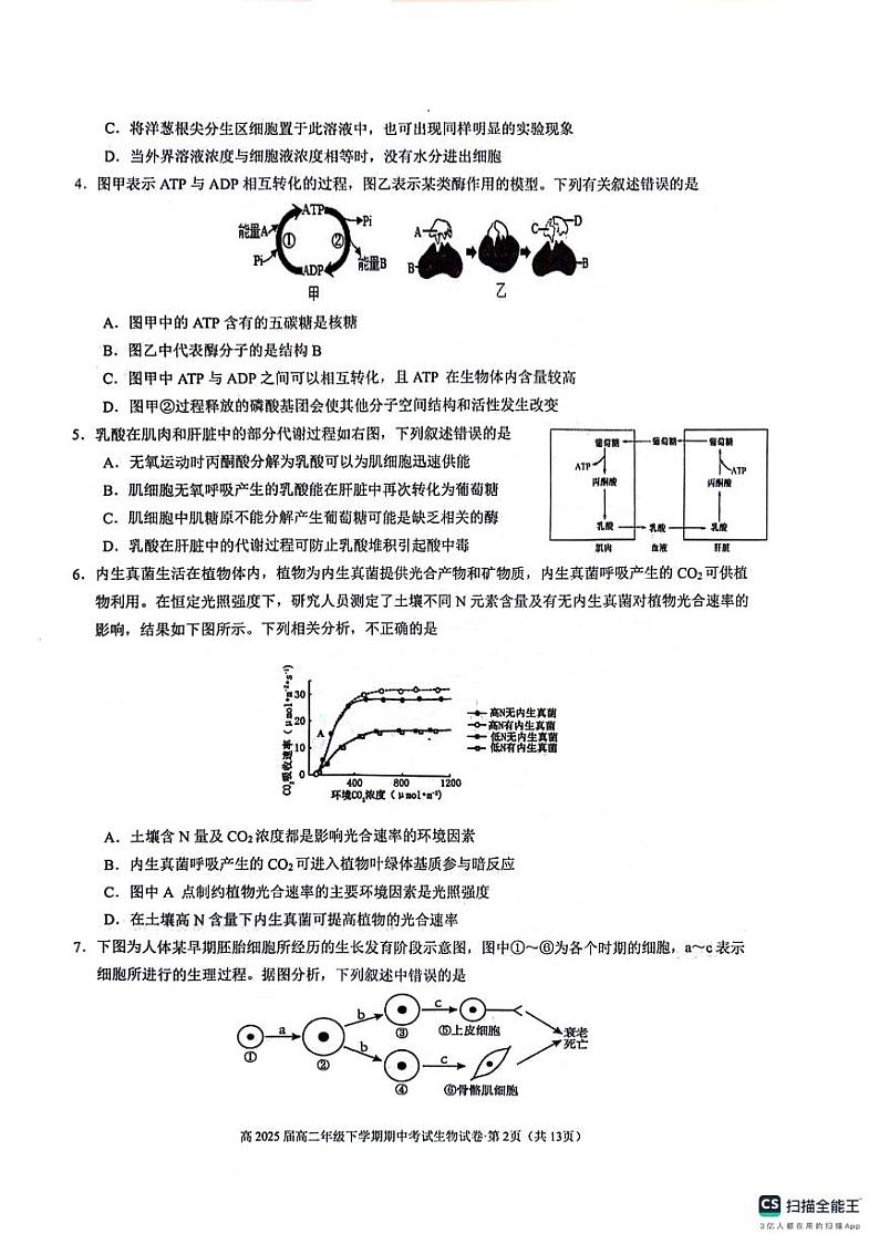 云南省昆明市呈贡区昆明市第三中学2023-2024学年高二下学期5月期中考试生物试题02