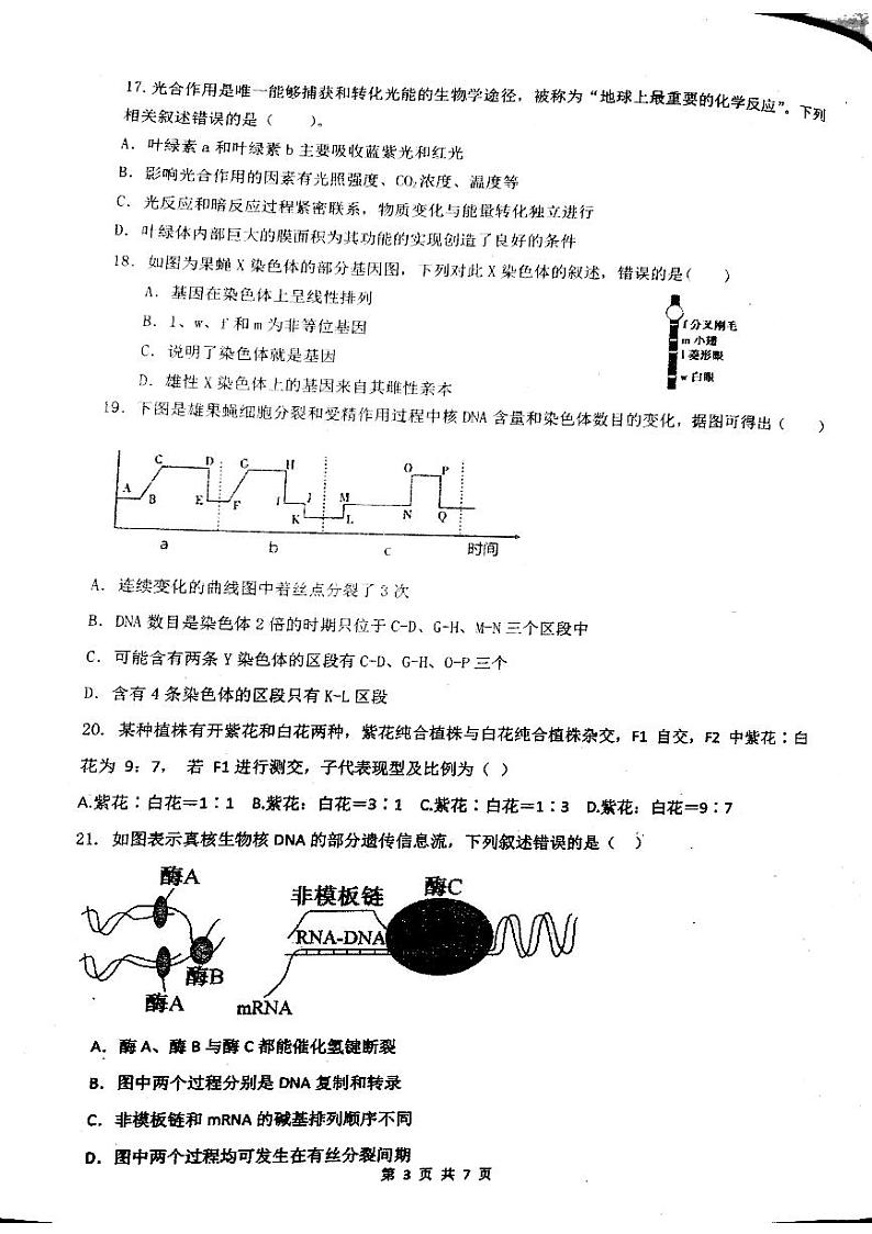 福建省福州超德中学2023-2024学年高一下学期期中考试生物试题（选考班）第3页