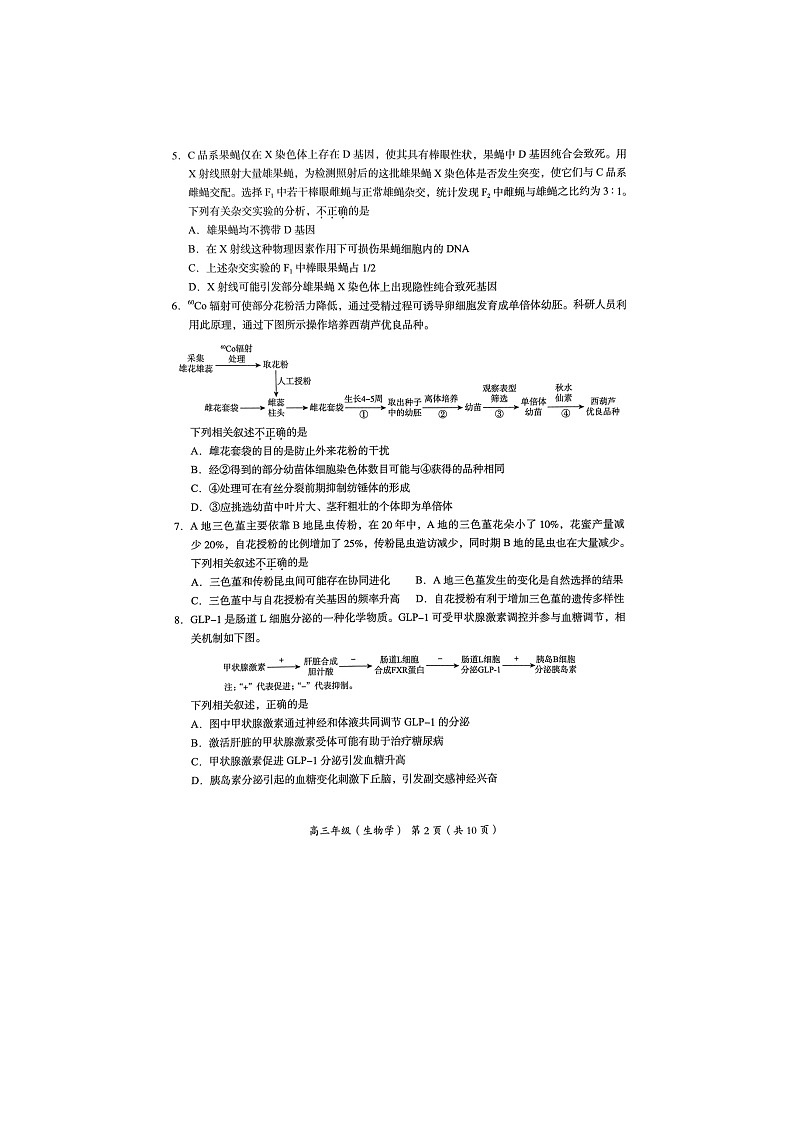 2024北京海淀高三一模生物试题及答案02