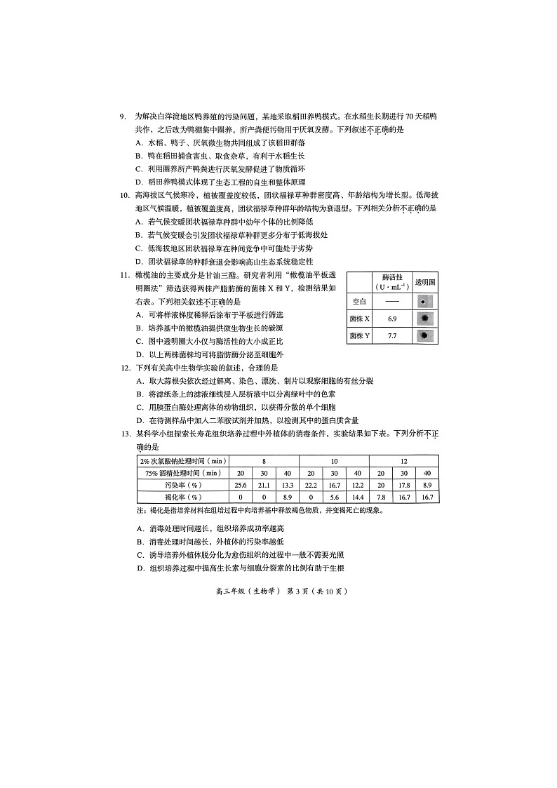 2024北京海淀高三一模生物试题及答案03