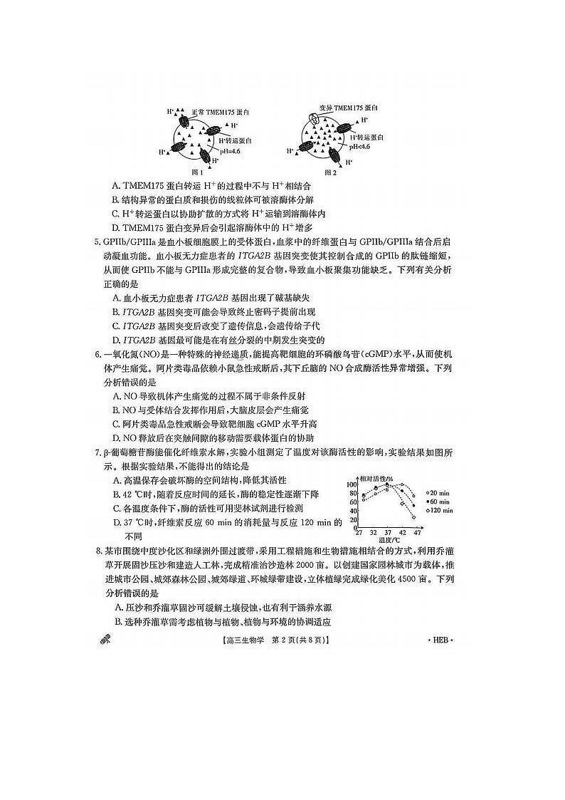 2024届河北省高三二模考生物试题第2页
