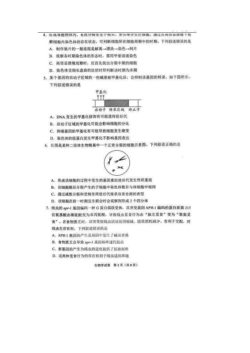 2024届贵阳高三二模生物试题第2页