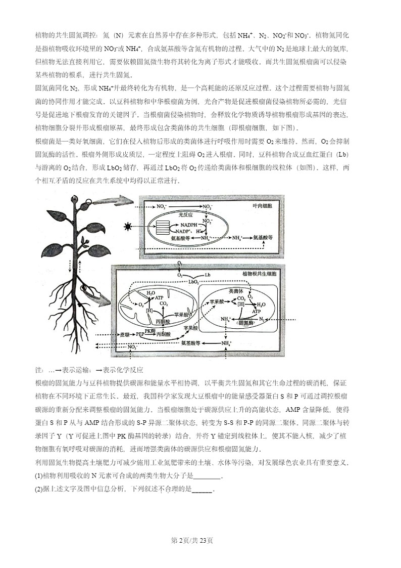2024北京高三二模生物试题分类汇编：分子与细胞（非选择题）第2页