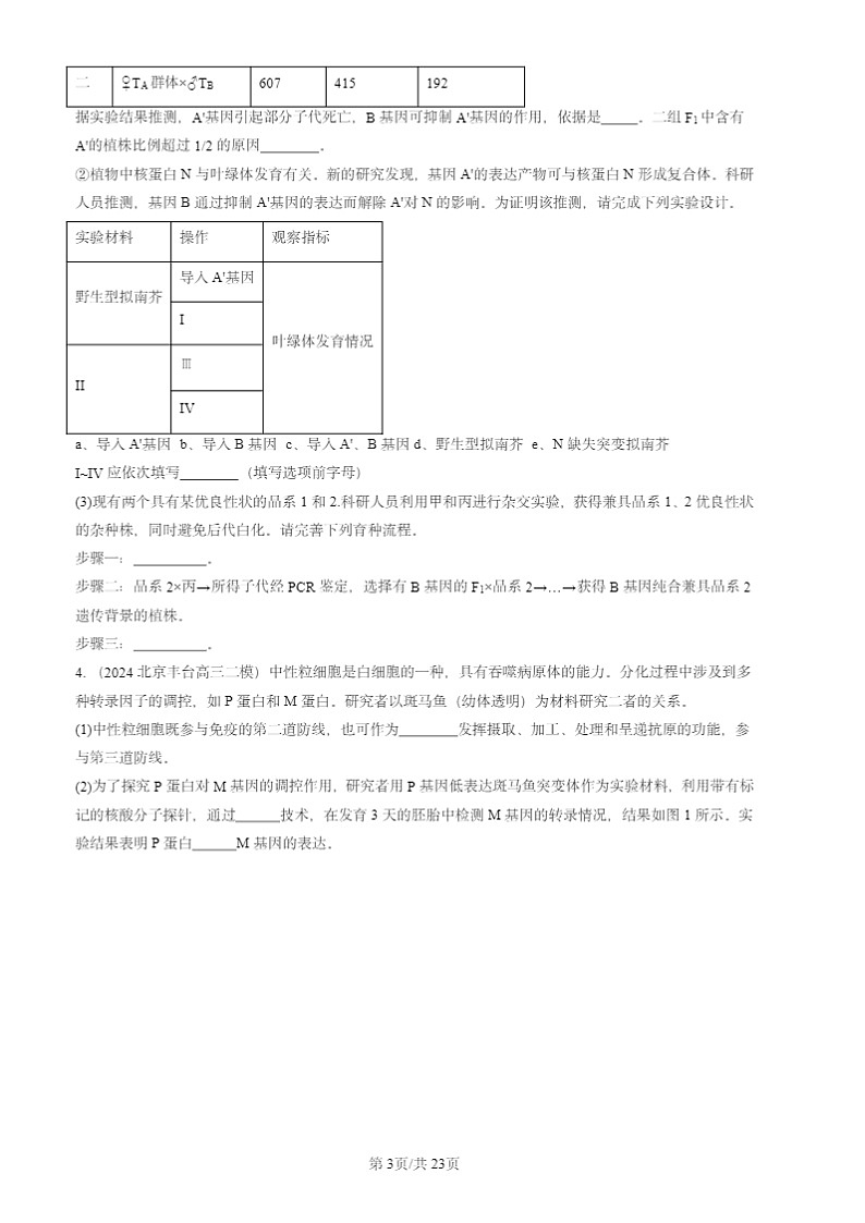 2024北京高三二模生物试题分类汇编：生物技术与工程（非选择题）第3页