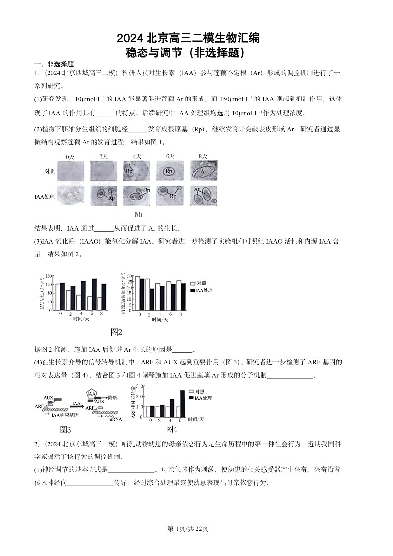 2024北京高三二模生物试题分类汇编：稳态与调节（非选择题）第1页
