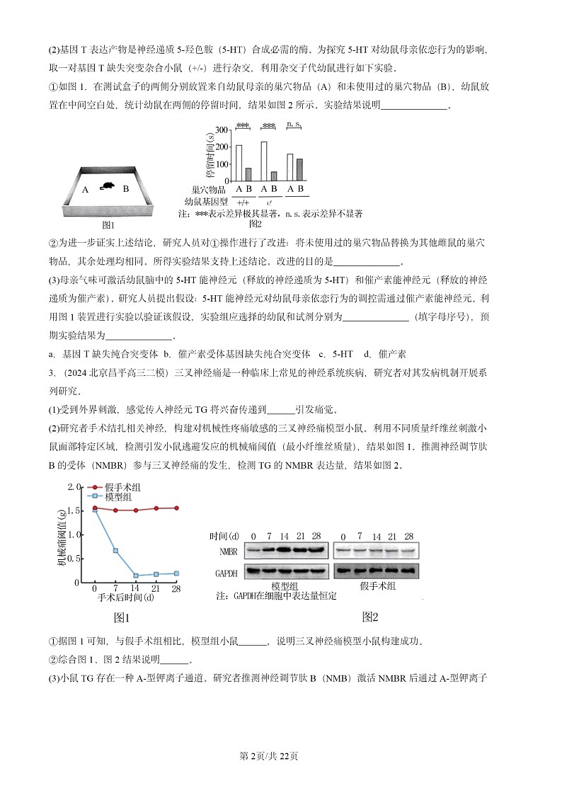 2024北京高三二模生物试题分类汇编：稳态与调节（非选择题）第2页