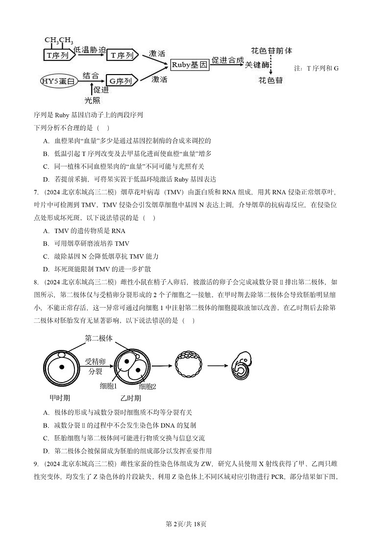 2024北京高三二模生物试题分类汇编：遗传与进化（单选题）第2页