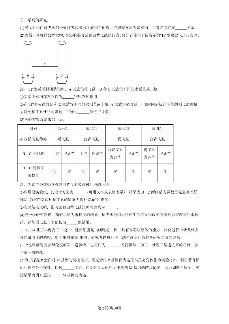 2024北京高三二模生物试题分类汇编：遗传与进化（非选择题）第2页