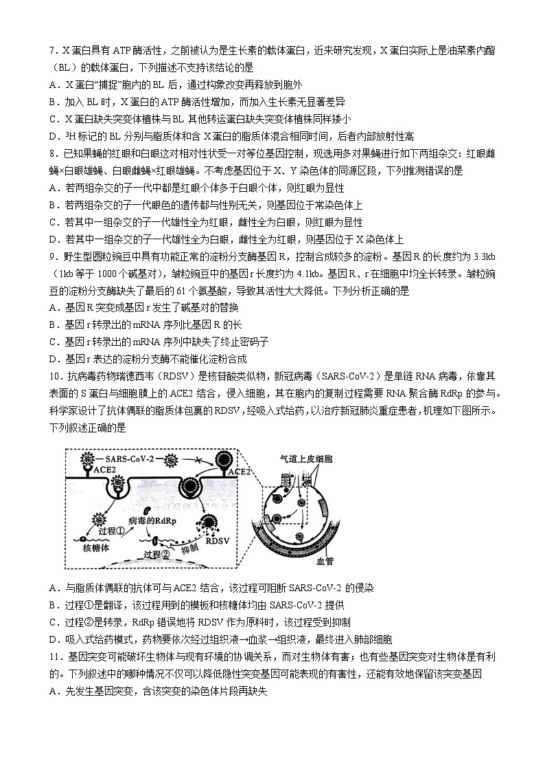 湖北省高中名校联盟2024届高三下学期第四次联合测评生物试题03