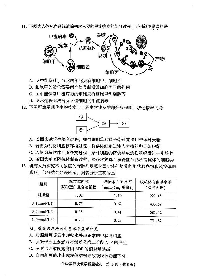 2024漳州高三下学期三模试题生物PDF版含答案第3页