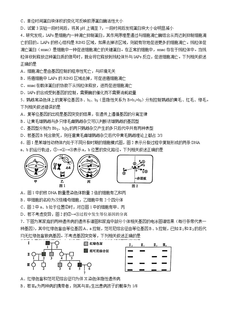 2024秦皇岛部分高中高三下学期二模试题生物含答案02