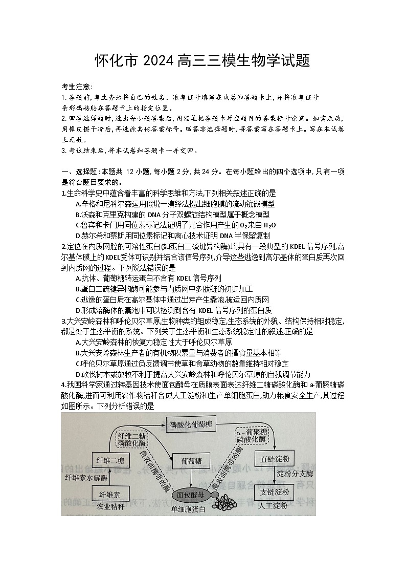 2024怀化高三下学期三模试题生物含答案01