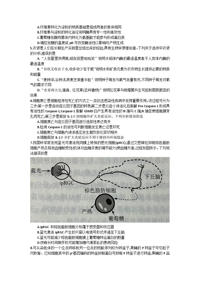 2024怀化高三下学期三模试题生物含答案02