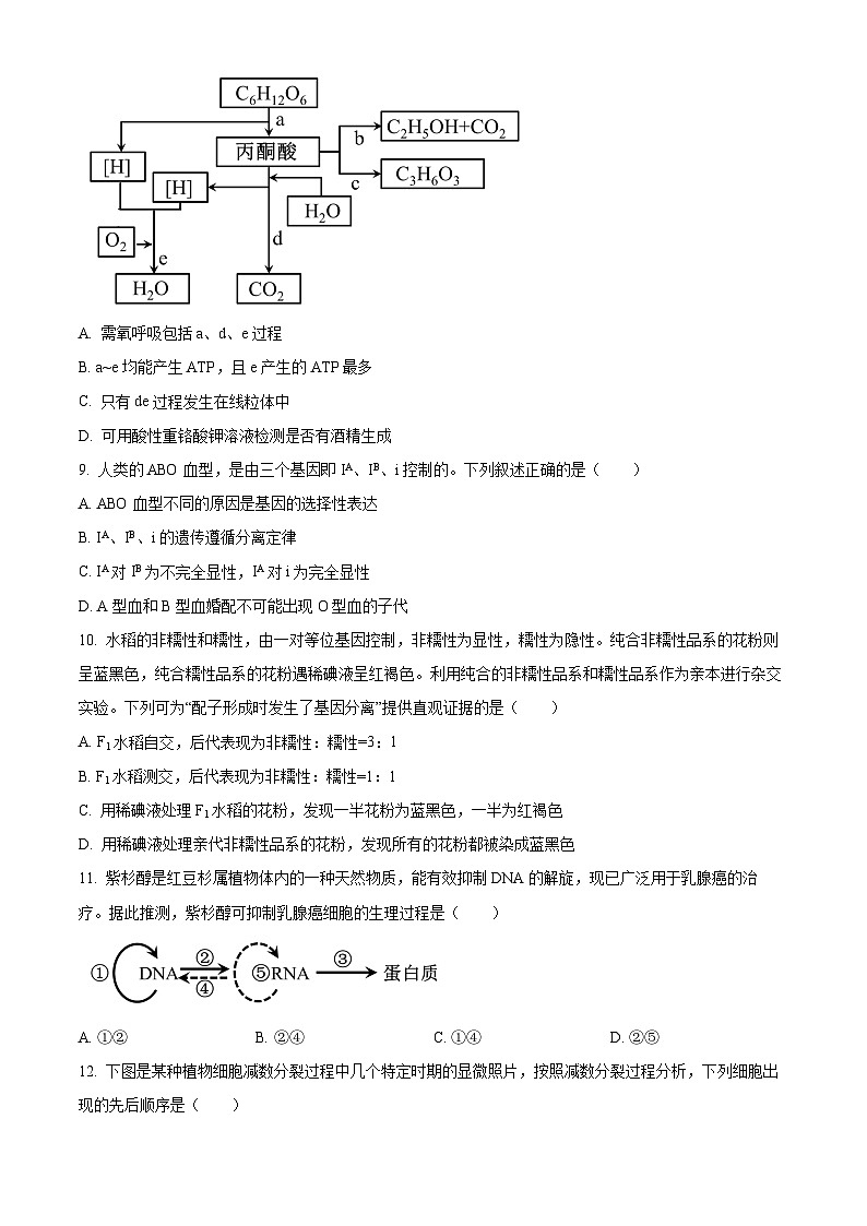 2024浙江省9+1高中联盟高一下学期4月期中考试生物含解析03