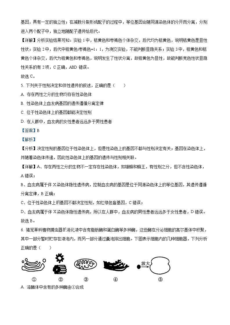 2024浙江省9+1高中联盟高一下学期4月期中考试生物含解析03