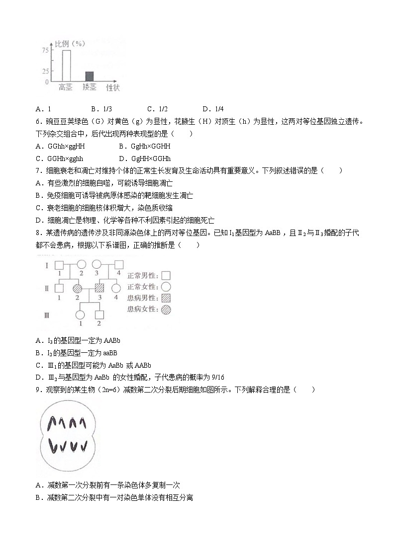 2024六安一中高一下学期期中考试生物含解析02