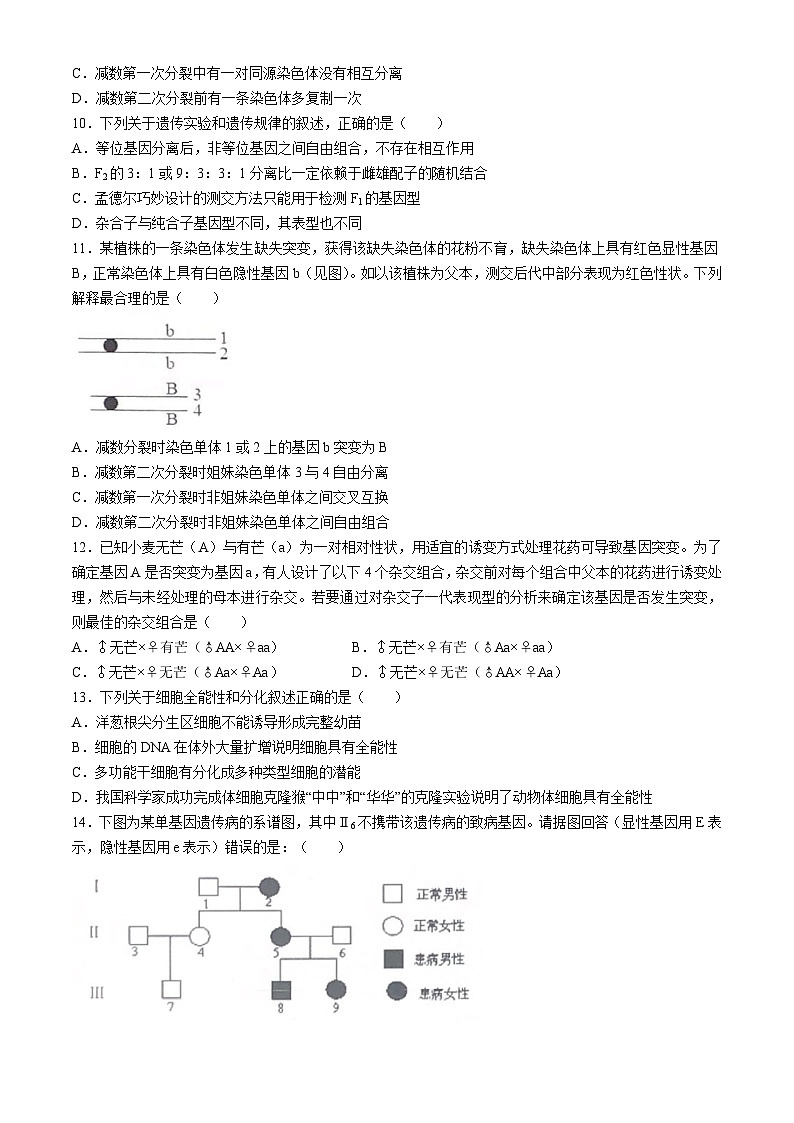 2024六安一中高一下学期期中考试生物含解析03