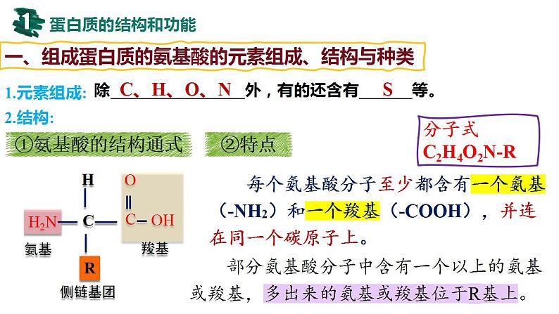 第03讲 蛋白质和核酸-【备战一轮】最新高考生物一轮复习优质课件06