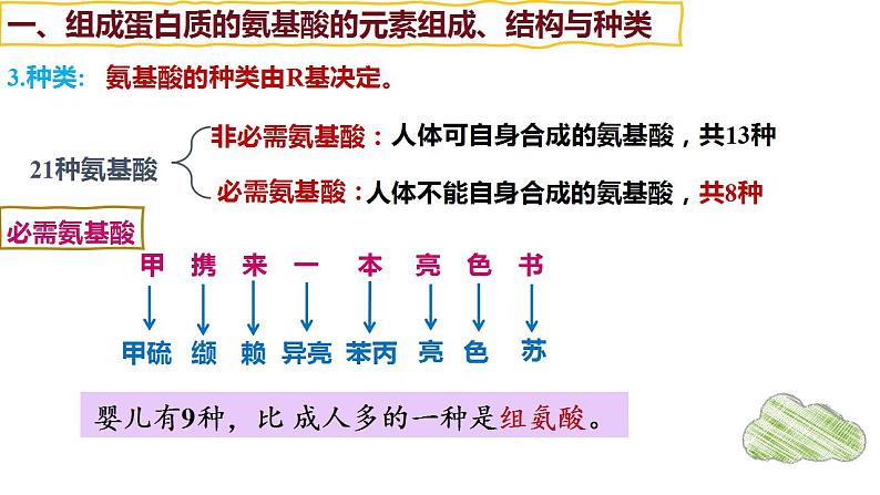 第03讲 蛋白质和核酸-【备战一轮】最新高考生物一轮复习优质课件07