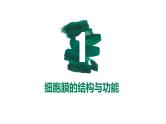 第04讲 细胞膜与细胞核-【备战一轮】最新高考生物一轮复习优质课件