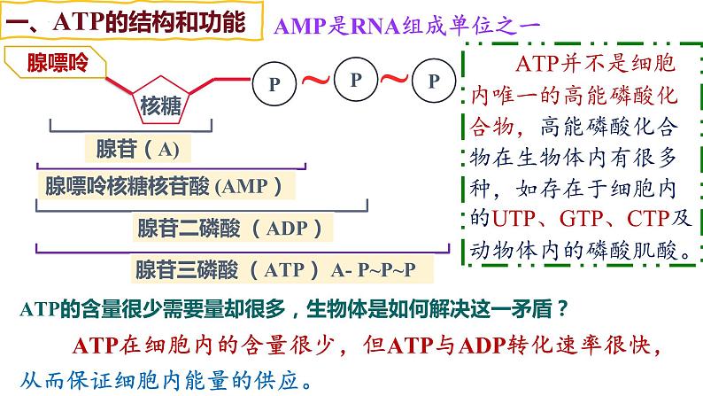 第07讲 ATP和酶-【备战一轮】最新高考生物一轮复习优质课件第7页