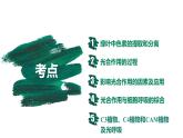 第09讲 光合作用与能量转化-【备战一轮】最新高考生物一轮复习优质课件