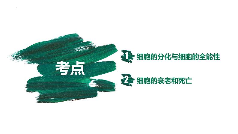 第12讲 细胞的分化、衰老和死亡-【备战一轮】最新高考生物一轮复习优质课件第4页