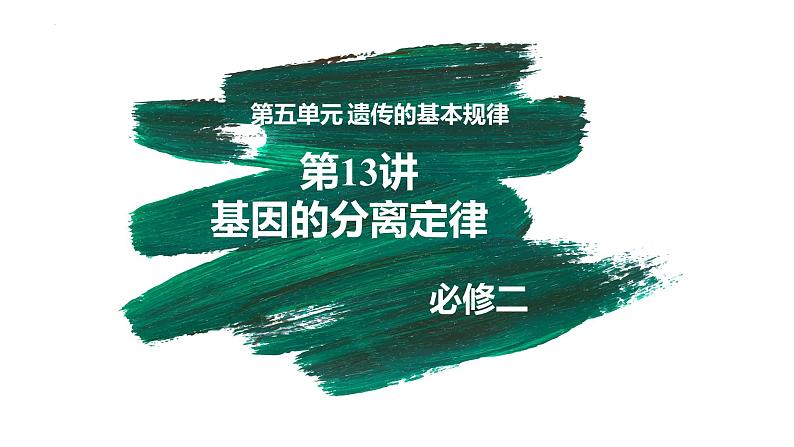 第13讲 基因的分离定律-【备战一轮】最新高考生物一轮复习优质课件04