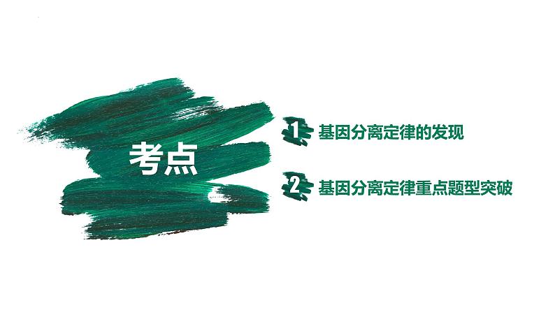 第13讲 基因的分离定律-【备战一轮】最新高考生物一轮复习优质课件05