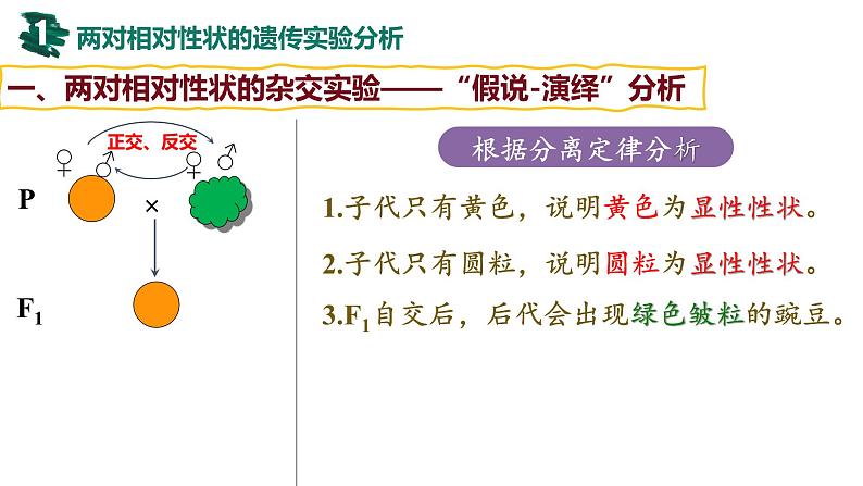 第14讲 基因的自由组合定律-【备战一轮】最新高考生物一轮复习优质课件06