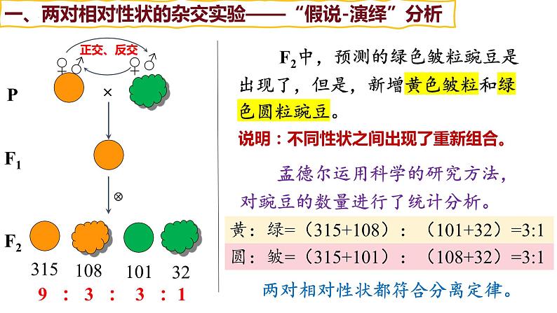 第14讲 基因的自由组合定律-【备战一轮】最新高考生物一轮复习优质课件07