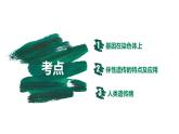 第15讲 伴性遗传和人类遗传病-【备战一轮】最新高考生物一轮复习优质课件