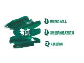 第15讲 伴性遗传和人类遗传病-【备战一轮】最新高考生物一轮复习优质课件