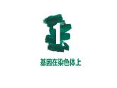 第15讲 伴性遗传和人类遗传病-【备战一轮】最新高考生物一轮复习优质课件