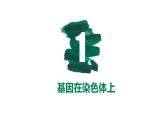 第15讲 伴性遗传和人类遗传病-【备战一轮】最新高考生物一轮复习优质课件