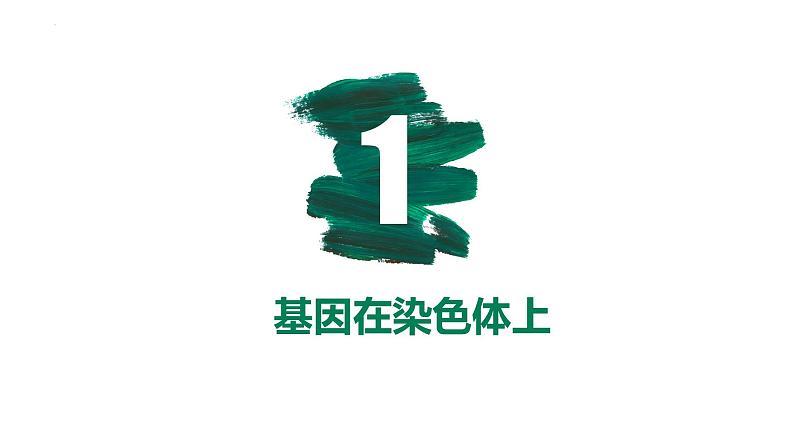 第15讲 伴性遗传和人类遗传病-【备战一轮】最新高考生物一轮复习优质课件第5页