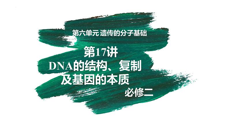 第17讲 DNA的结构、复制及基因的本质-【备战一轮】最新高考生物一轮复习优质课件第3页