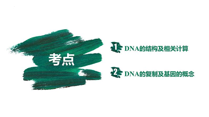 第17讲 DNA的结构、复制及基因的本质-【备战一轮】最新高考生物一轮复习优质课件第4页