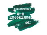 第19讲 基因突变和基因重组-【备战一轮】最新高考生物一轮复习优质课件