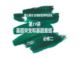 第19讲 基因突变和基因重组-【备战一轮】最新高考生物一轮复习优质课件