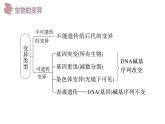 第19讲 基因突变和基因重组-【备战一轮】最新高考生物一轮复习优质课件