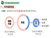 第22讲 人体内环境稳态-【备战一轮】最新高考生物一轮复习优质课件