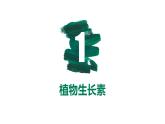 第26讲 植物生命活动的调节-【备战一轮】最新高考生物一轮复习优质课件