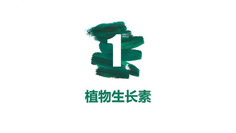 第26讲 植物生命活动的调节-【备战一轮】最新高考生物一轮复习优质课件05