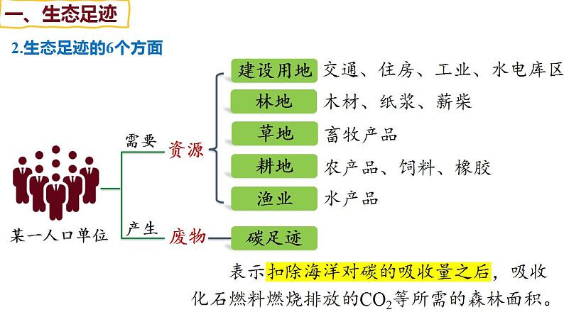 第31讲 人与环境-【备战一轮】最新高考生物一轮复习优质课件07