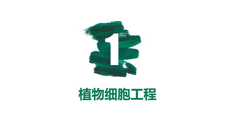 第34讲 细胞工程和胚胎工程-【备战一轮】最新高考生物一轮复习优质课件第6页