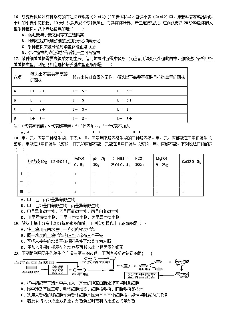 四川省内江市第二中学2023-2024学年高二下学期期中考试生物试题（Word版附答案）03