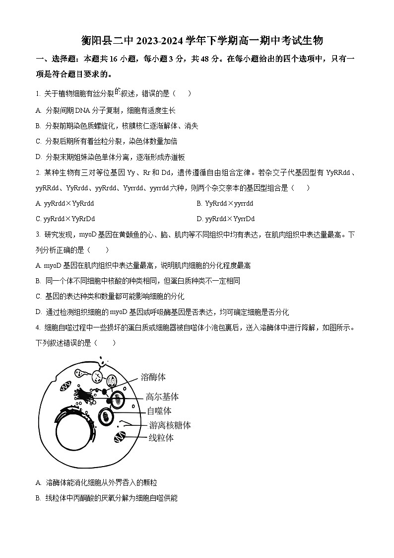 湖南省衡阳市衡阳县第二中学2023-2024学年高一下学期4月期中生物试题（原卷版+解析版）01